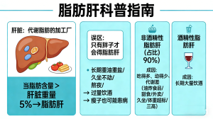 警惕！身边一半人可能中招的脂肪肝，不是“小毛病”