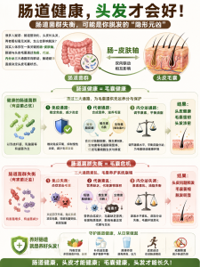 脱发原因众说纷纭，最新研究发现或是肠道菌群在捣乱